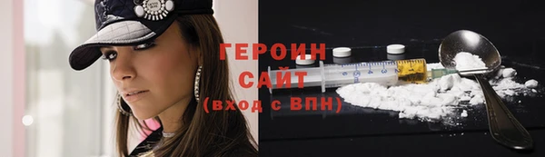spice Богородицк