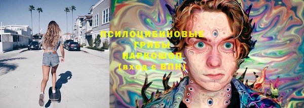 spice Арсеньев