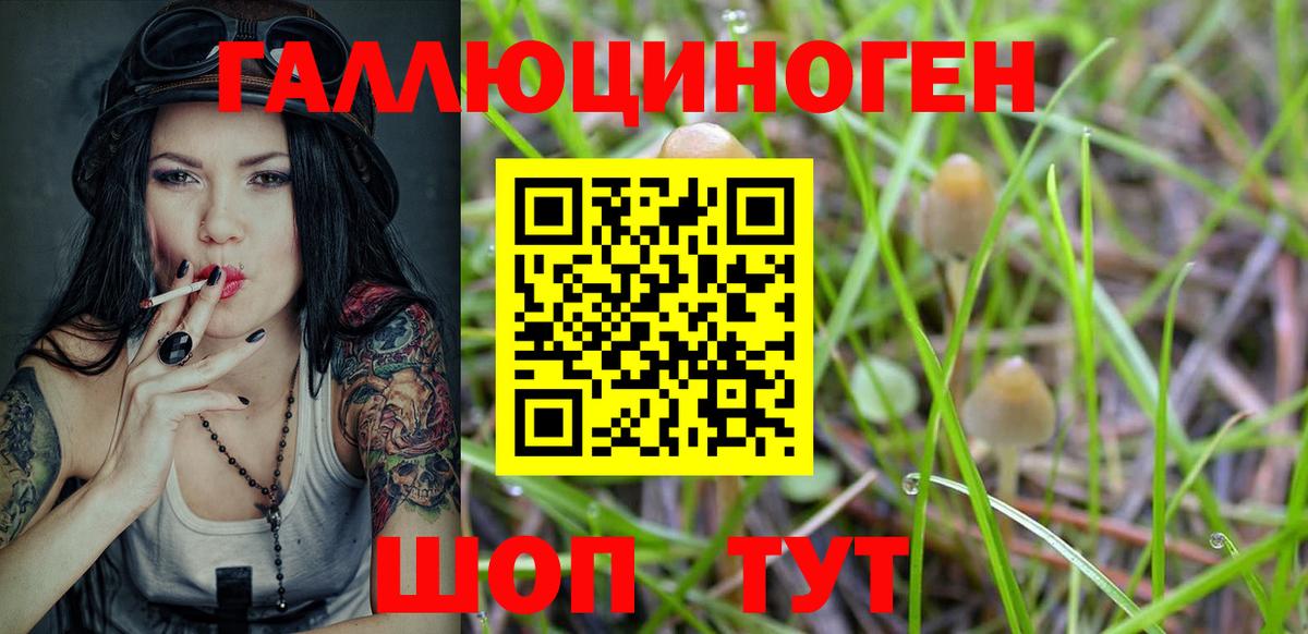 Псилоцибиновые грибы мицелий  как найти наркотики  Всеволожск  Вход с VPN 